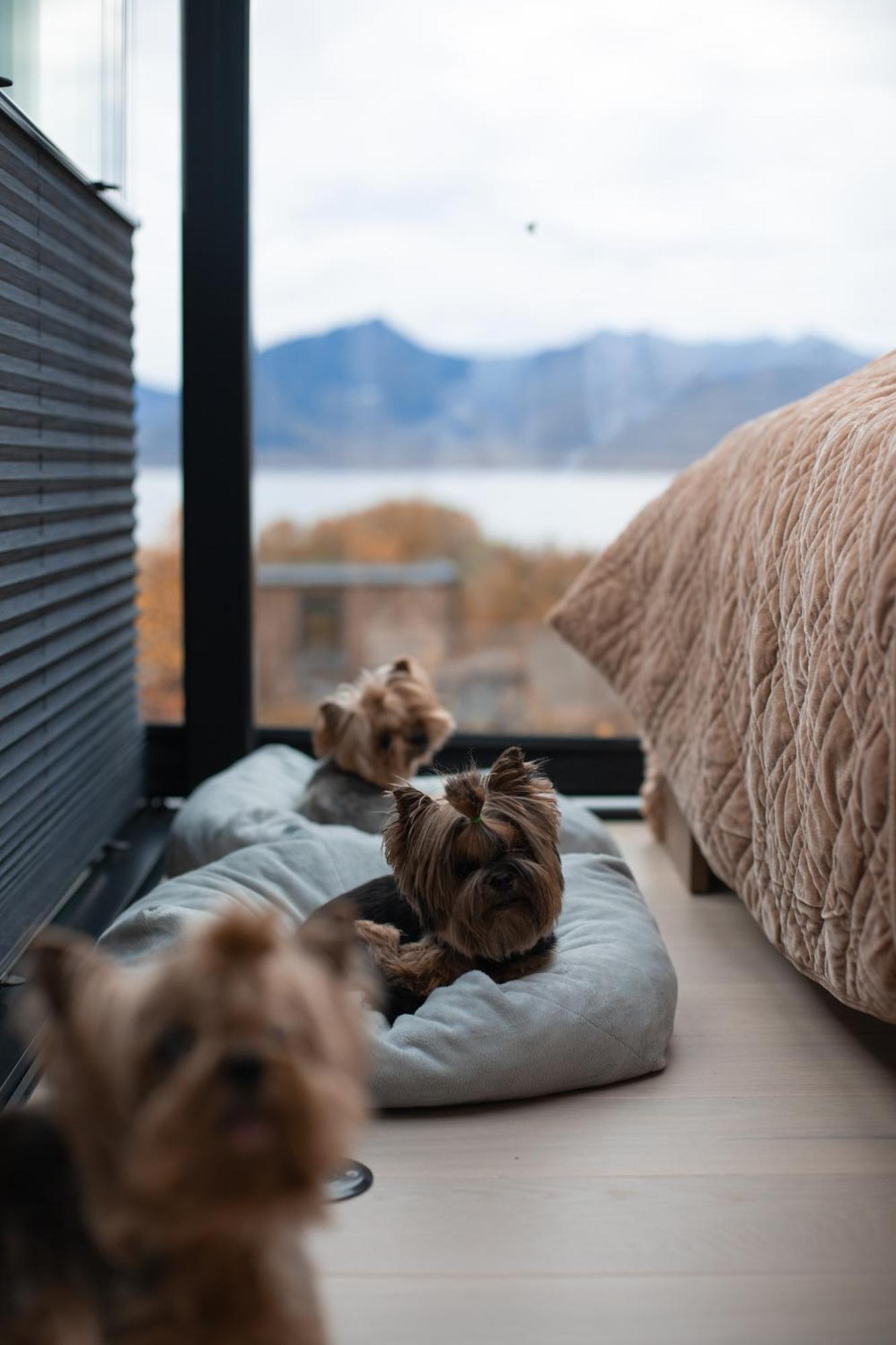 Wonderinn Arctic Utstrand 외부 사진